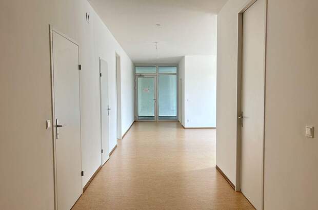 Gewerbeobjekt mieten in 1230 Wien (Bild 3)