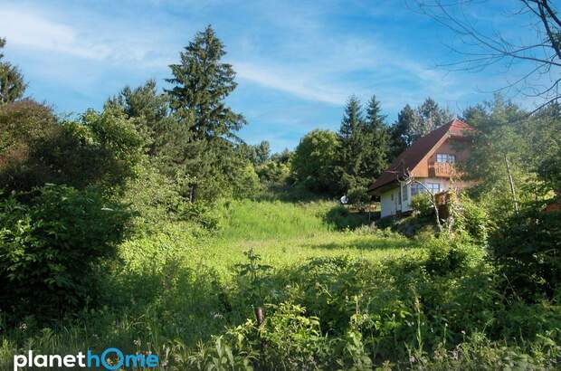 Grundstück kaufen in 2102 Hagenbrunn (Bild 1)