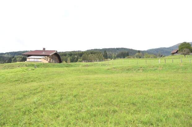 Gewerbeobjekt kaufen in 9543 Arriach (Bild 5)