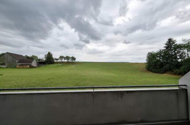 Terrassenwohnung mieten in 3382 Loosdorf (Bild 4)