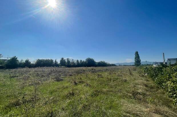 Gewerbeobjekt kaufen in 2521 Trumau (Bild 5)