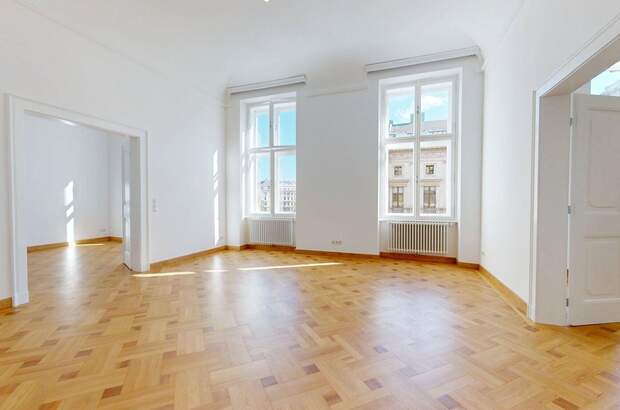Altbauwohnung mieten in 1010 Wien (Bild 1)