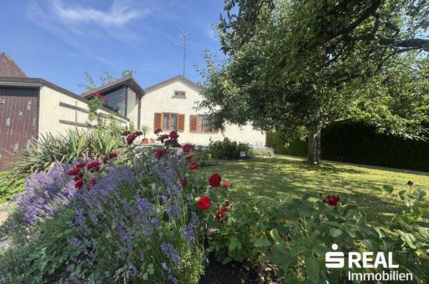 Haus kaufen in 4780 Schärding (Bild 1)