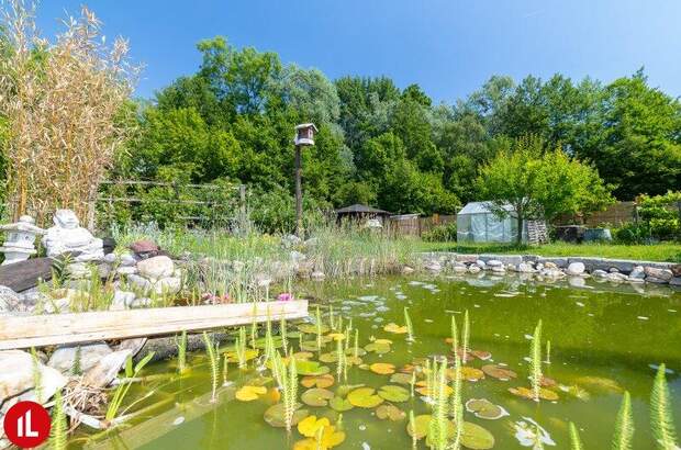 Einfamilienhaus kaufen in 2440 Gramatneusiedl (Bild 4)