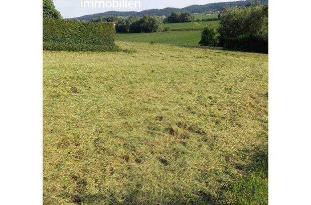 Grundstück kaufen in 8332 Edelsbach (Bild 4)