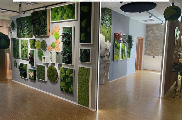 Gewerbeobjekt mieten in 4052 Ansfelden (Bild 4)