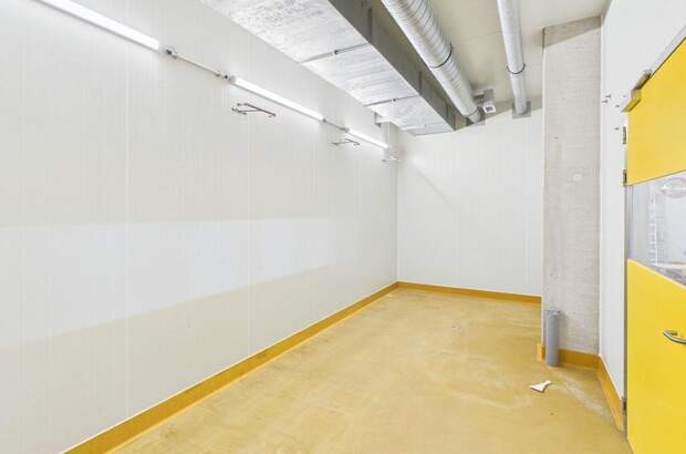 Gewerbeobjekt mieten in 4030 Linz (Bild 3)