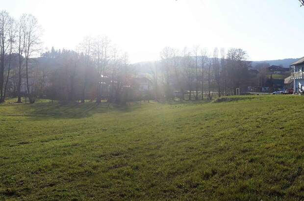 Wohnung kaufen in 4134 Putzleinsdorf (Bild 2)