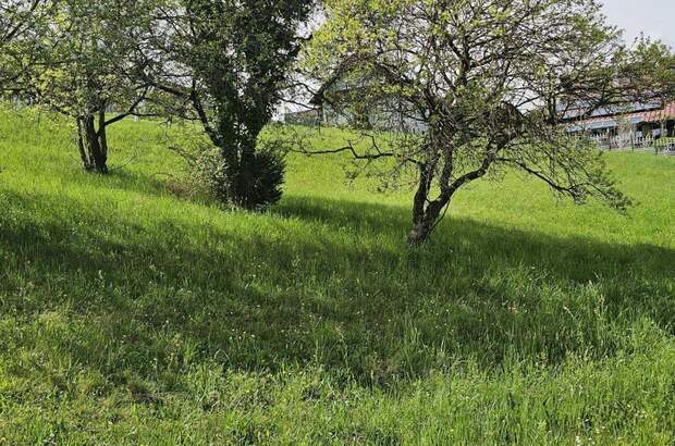 Grundstück kaufen in 8112 Gratwein (Bild 1)