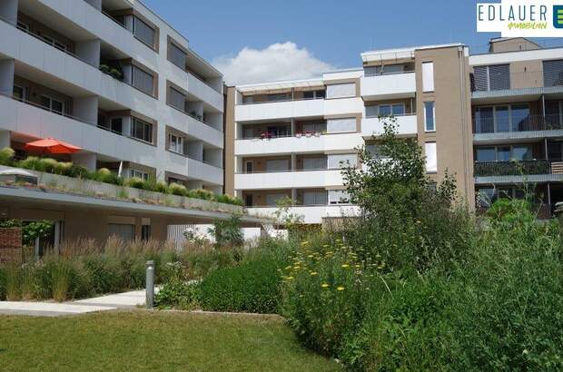 Terrassenwohnung mieten in 3100 St. Pölten (Bild 1)