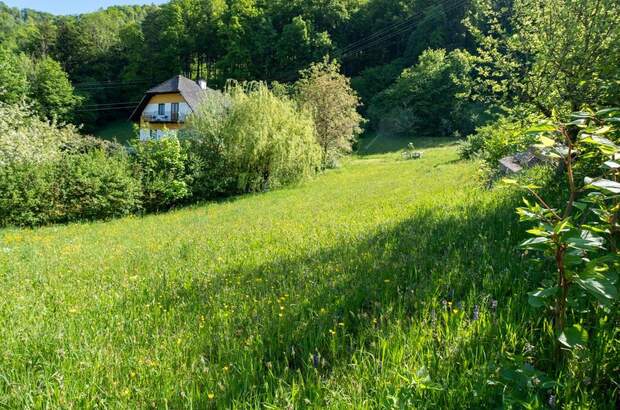 Grundstück kaufen in 4452 Ternberg (Bild 4)