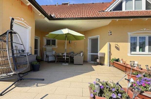 Mehrfamilienhaus kaufen in 2225 Zistersdorf (Bild 5)