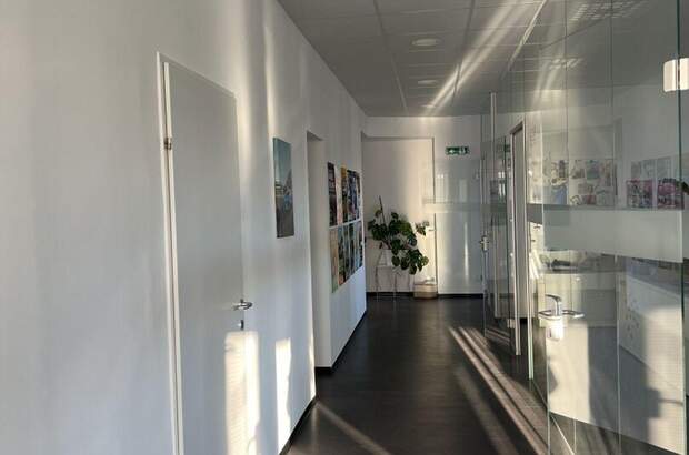 Gewerbeobjekt mieten in 4060 Leonding (Bild 4)