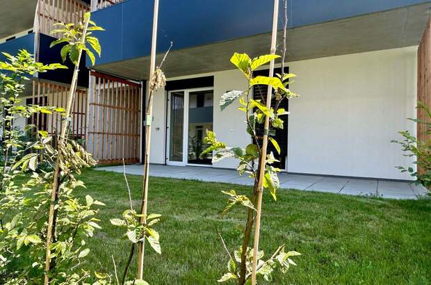 Anlageobjekt kaufen in 8054 Graz (Bild 1)