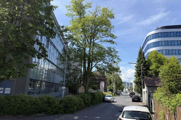 Gewerbeobjekt mieten in 4020 Linz (Bild 4)