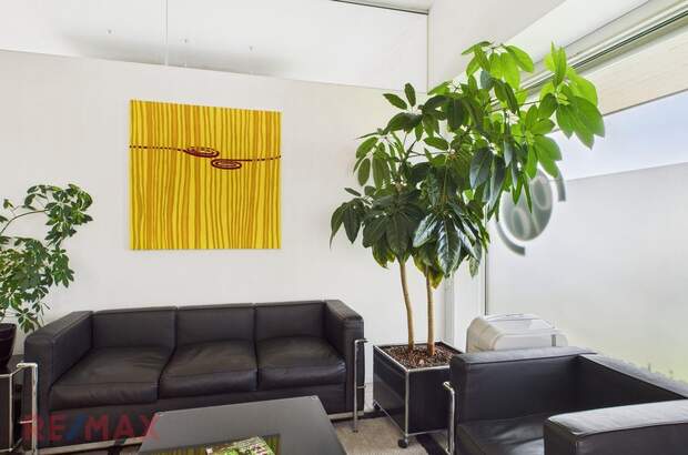 Gewerbeobjekt kaufen in 6890 Lustenau (Bild 2)