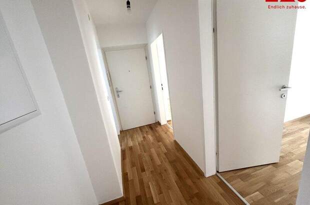 Wohnung mieten in 4400 Steyr (Bild 4)