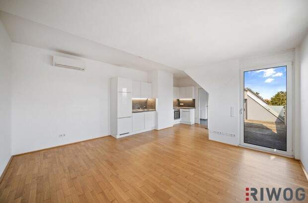 Terrassenwohnung kaufen in 1220 Wien (Bild 1)