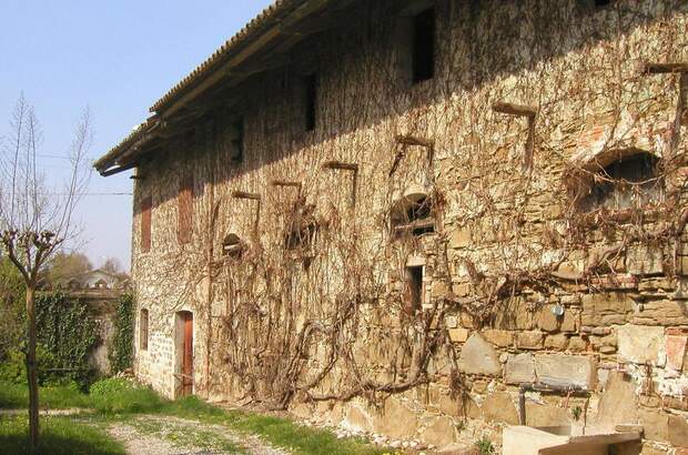 Haus kaufen in 33042 Buttrio UD (Bild 3)