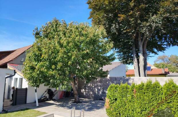 Mehrfamilienhaus kaufen in 2443 Deutsch (Bild 5)