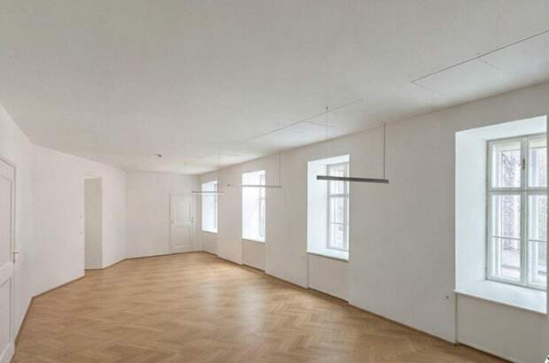 Gewerbeobjekt mieten in 1010 Wien (Bild 1)