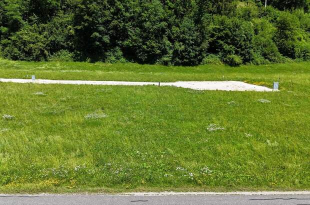 Grundstück kaufen in 3263 Randegg (Bild 5)