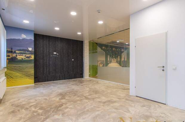 Gewerbeobjekt mieten in 4052 Ansfelden (Bild 2)