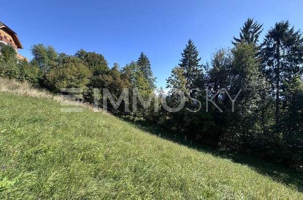 Grundstück kaufen in 9212 Techelsberg (Bild 3)