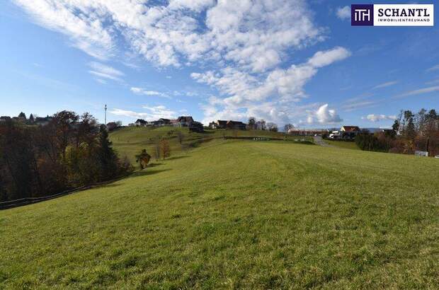 Grundstück kaufen in 8503 St. Josef (Bild 1)