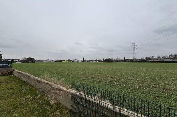 Mehrfamilienhaus kaufen in 4600 Wels (Bild 5)