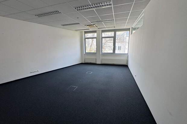 Gewerbeobjekt mieten in 8020 Graz (Bild 3)