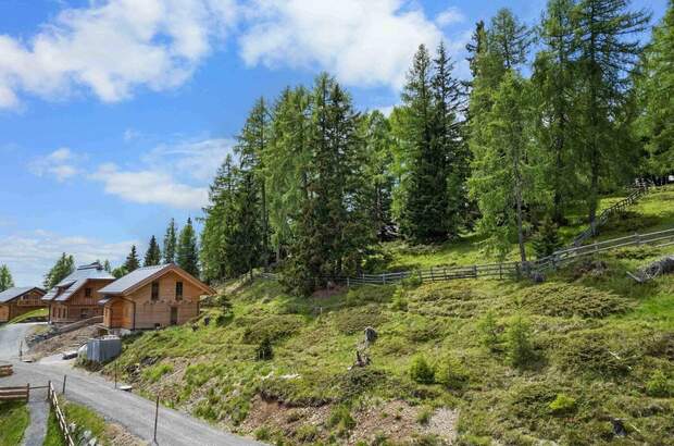 Grundstück kaufen in 9853 Gmünd (Bild 3)