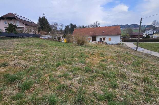 Grundstück kaufen in 4611 Buchkirchen (Bild 1)