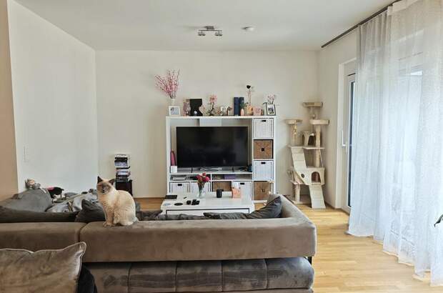 Haus kaufen in 9020 Klagenfurt (Bild 4)