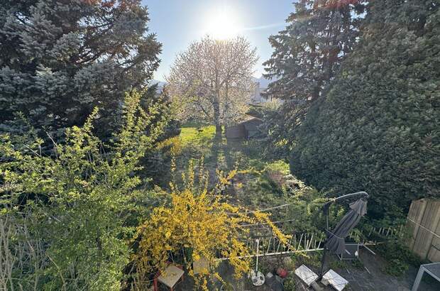 Haus kaufen in 6060 Hall (Bild 5)