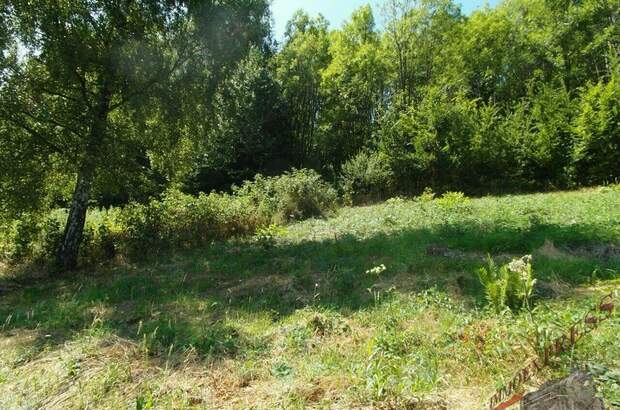 Grundstück kaufen in 2860 Kirchschlag (Bild 1)