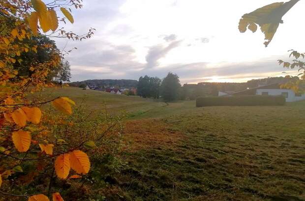 Grundstück kaufen in 8212 Pischelsdorf (Bild 1)
