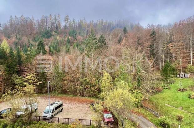 Wohnung mit Balkon kaufen in 4822 Bad Goisern