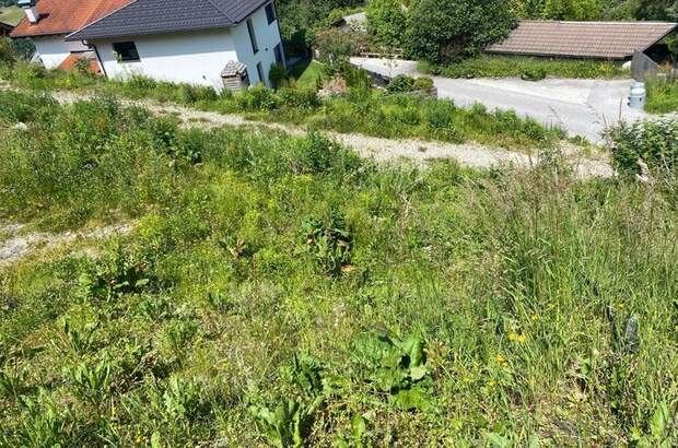 Grundstück kaufen in 6113 Wattenberg (Bild 5)