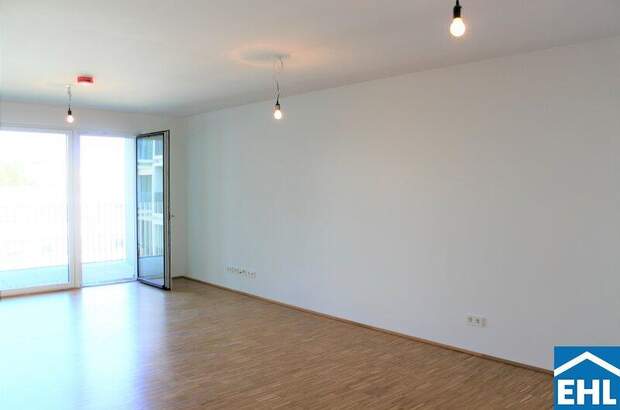 Terrassenwohnung mieten in 1230 Wien (Bild 1)