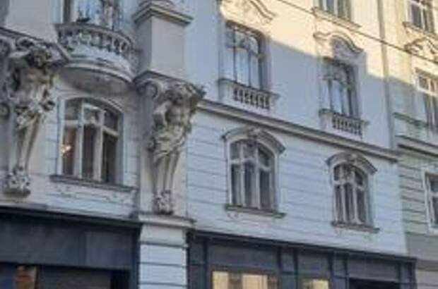 Gewerbeobjekt mieten in 1090 Wien (Bild 2)