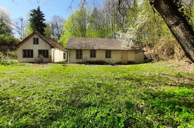 Einfamilienhaus kaufen in 3571 Gars (Bild 2)