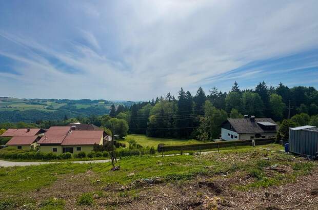 Grundstück kaufen in 4040 Lichtenberg (Bild 3)