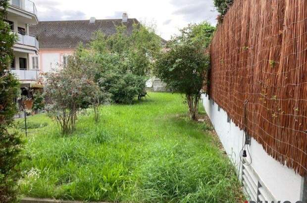 Terrassenwohnung mieten in 3400 Klosterneuburg (Bild 3)