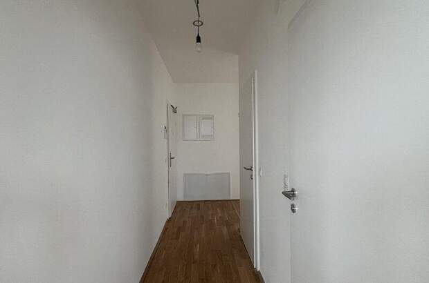 Terrassenwohnung mieten in 1100 Wien (Bild 4)