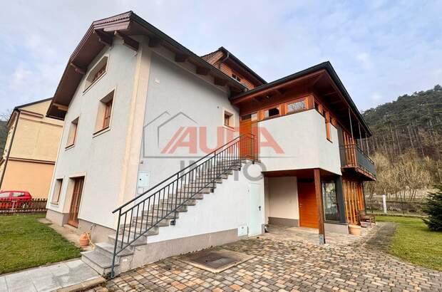 Mehrfamilienhaus kaufen in 2564 Weissenbach (Bild 3)
