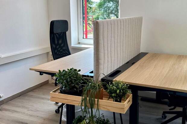 Gewerbeobjekt mieten in 4210 Gallneukirchen (Bild 5)