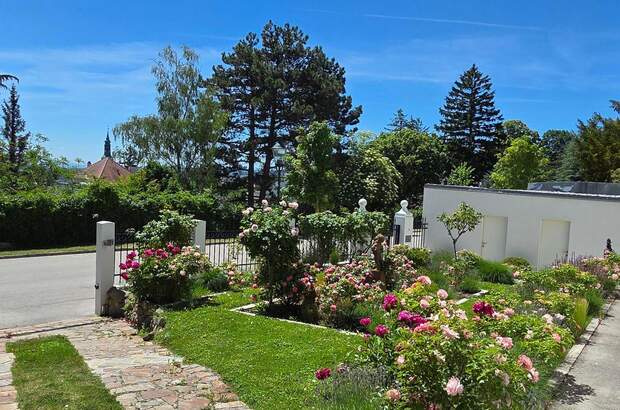 Haus mit Garten kaufen in 2500 Baden (Bild 4)