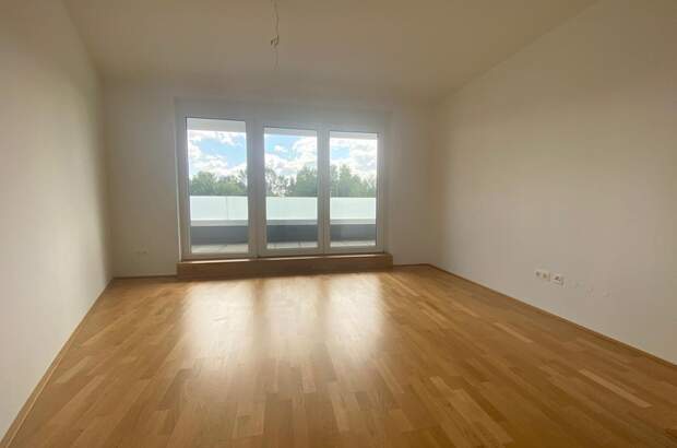 Terrassenwohnung mieten in 2700 Wr. Neustadt (Bild 3)