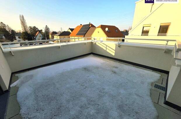 Terrassenwohnung kaufen in 1220 Wien (Bild 3)